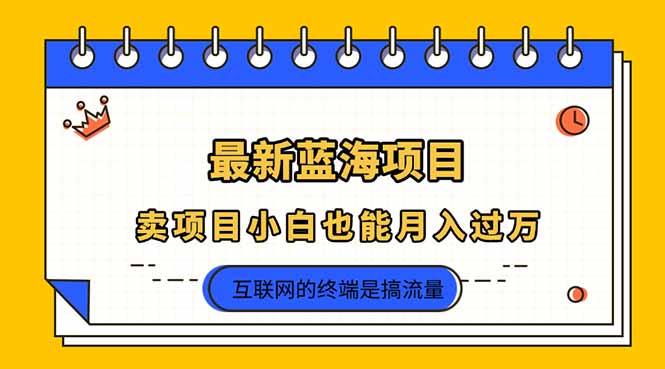 (14289期)2025年最新蓝海项目,卖项目小白也能月入过万-轻创终点站